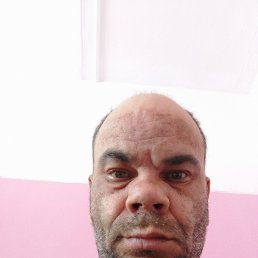, 48, 