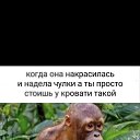 ���� ������, ������ ��������, 38 ��� - ��������� 30 ��� 2026 � ������ ���� ����������