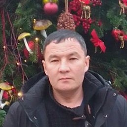 ������, ����, 43 ����