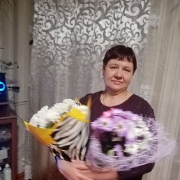 , 61, 