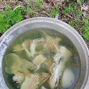  , --, 59  -  27  2025