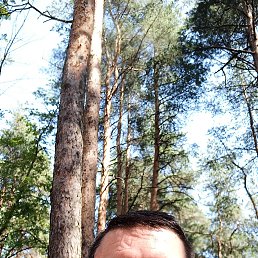 , 46, -