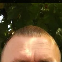 , 49 , 