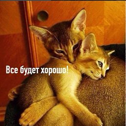 ���� �����, ������ - ��������� 18 ������� 2025