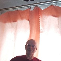 , 61, 