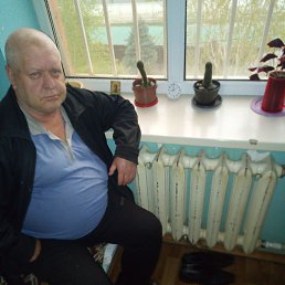 ��������, 54 ����, ���������