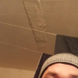 ��������, ����, 39 ���