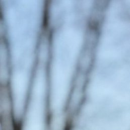 ����, �����-���������, 24 ����