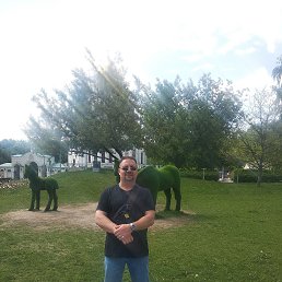 , 54, 