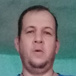 �����, ���������, 46 ���