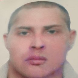 , 41 , 