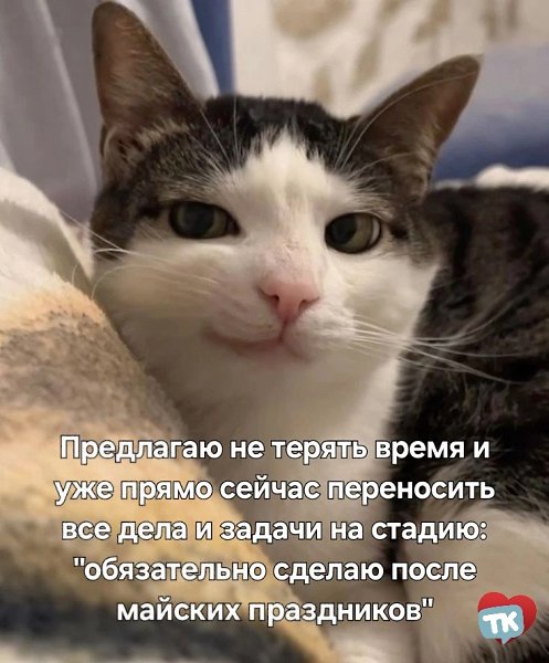   - 15  2025  20:09