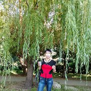 , 43 , 