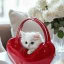 ���� �����, ������ - ��������� 10 ���� 2026 � ������ ������Ż