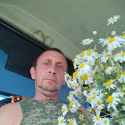 , 48, 