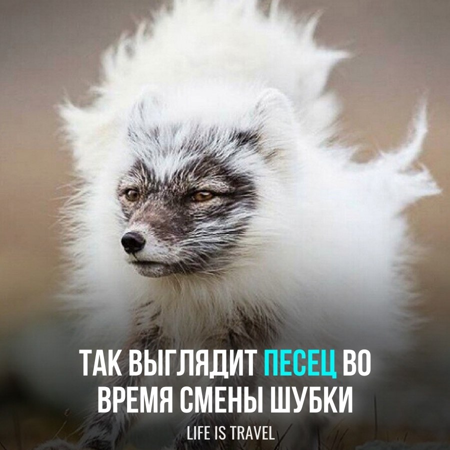        120 .       
