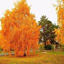 ���� ������, ������, 74 ���� - ��������� 16 ������� 2025 � ������ ������ ��������