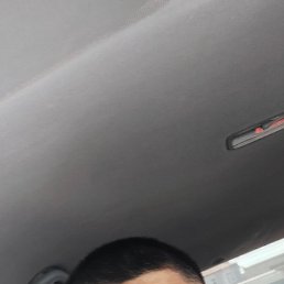, 42, 