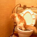 ���� ������, �����, 65 ��� - ��������� 20 ������� 2025