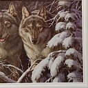 ���� ������, ����, 45 ��� - ��������� 14 ������ 2026 � ������ ���� ����������