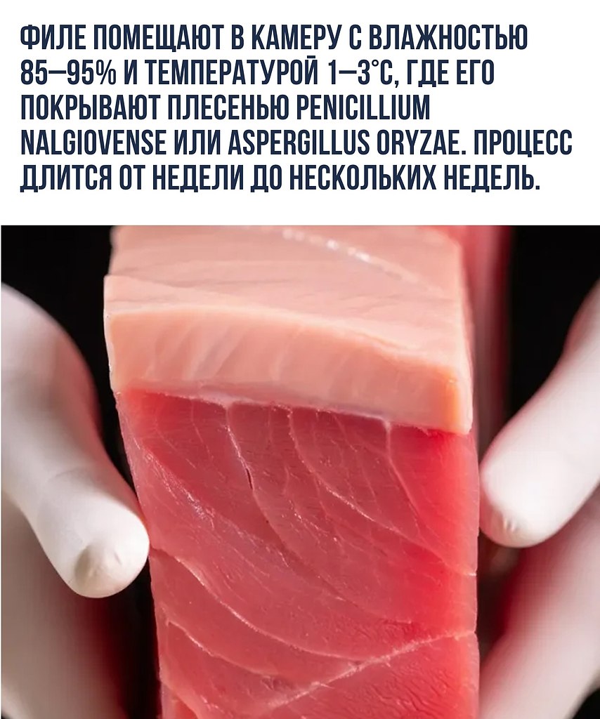 Mold-aged tuna     ,       ... - 2