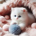 ���� ������, ������ - ��������� 8 ������� 2026