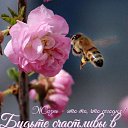 ���� �������, ���������, 57 ��� - ��������� 7 ������� 2024 � ������ ���� ����������