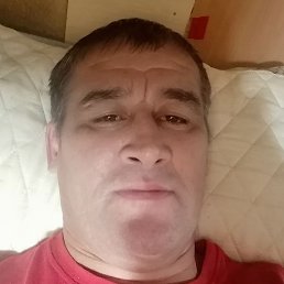 �����, �����-���������, 44 ����