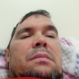 �������, ������, 41 ���