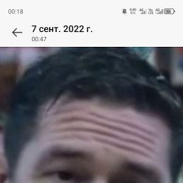 , 41 , 