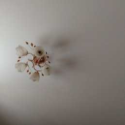 �����, ������, 38 ���