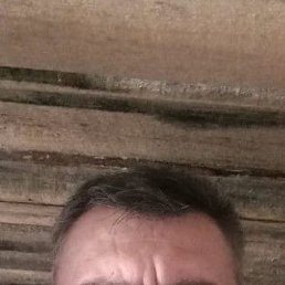 , 45, 