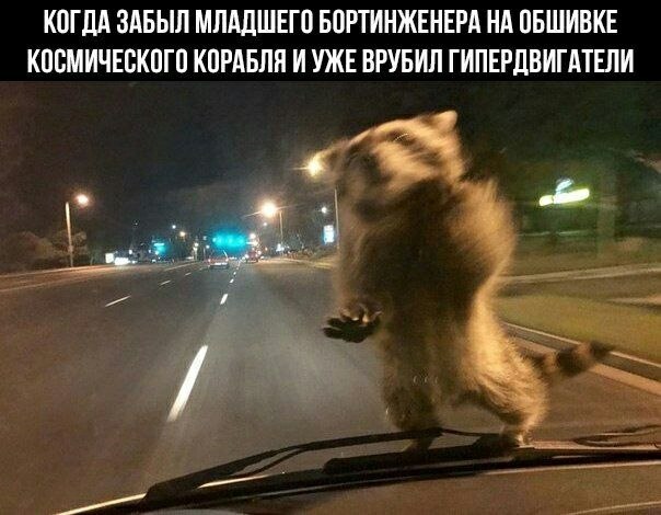    - 6  2023  20:41