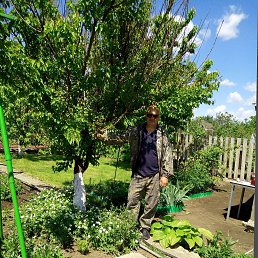 ���� ����, ��������, 59 ��� - ��������� 3 ����� 2026