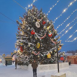 ����, 41 ���, ����