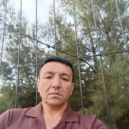 , 45, 
