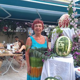 , 66, 