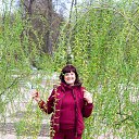 ���� ����, �����-���������, 66 ��� - ��������� 22 ����� 2024