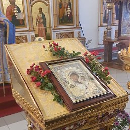 ������, �������, 69 ���