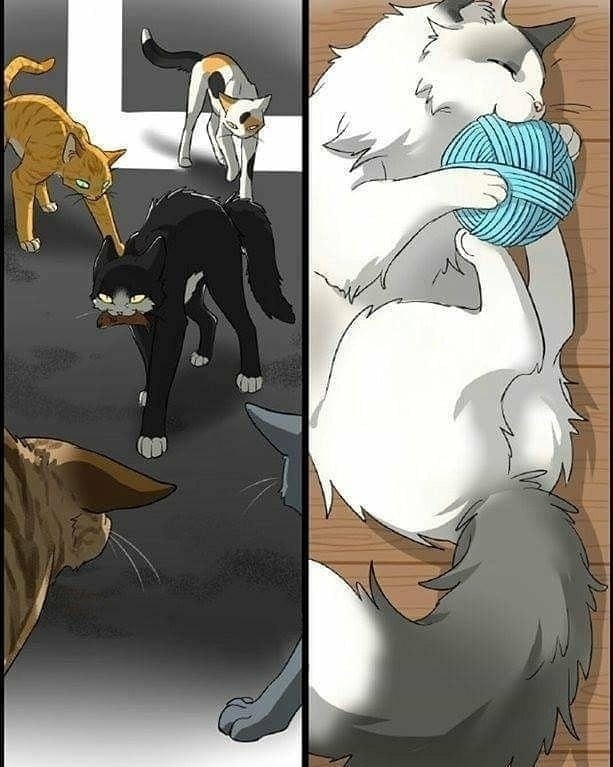    ) - 2