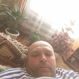 , 48, 