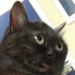 , , 23 