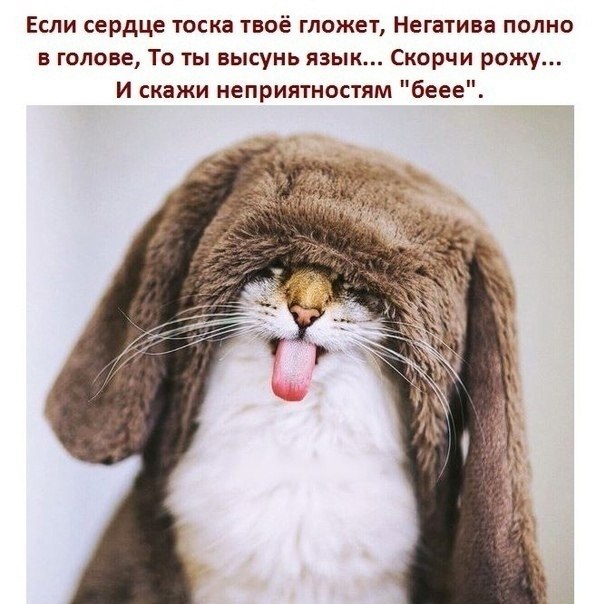   - 22  2024  16:38