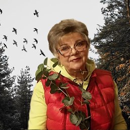 ��������, �����-���������, 65 ���