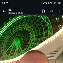 , 43, 