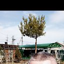 ���� �����, ���������, 57 ��� - ��������� 19 ������� 2025