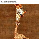 ���� �����, ������, 67 ��� - ��������� 22 ������� 2024 � ������ ������ ��������