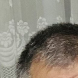 �������, �������, 64 ����