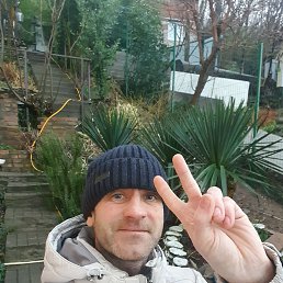 ���� ����, ����, 39 ��� - ��������� 20 ������� 2026