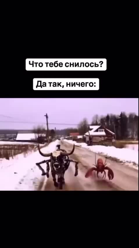 ���, ����� � ���� ����������� 38